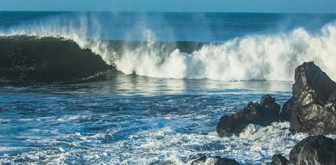Las Flores Beach in El Salvador