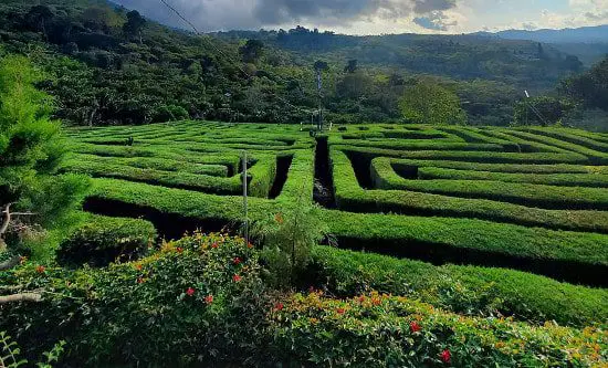 The Labyrinth of Albania