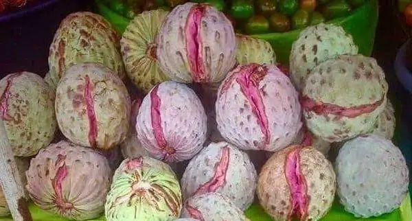 8 exotic Fruits of El Salvador that you should try at least once.