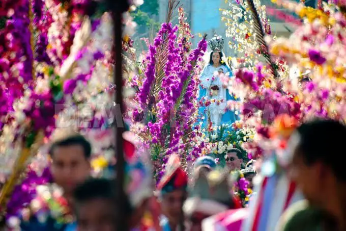 Palm Festival in Panchimaco. 