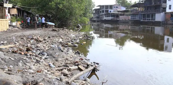 Water Pollution in El Salvador