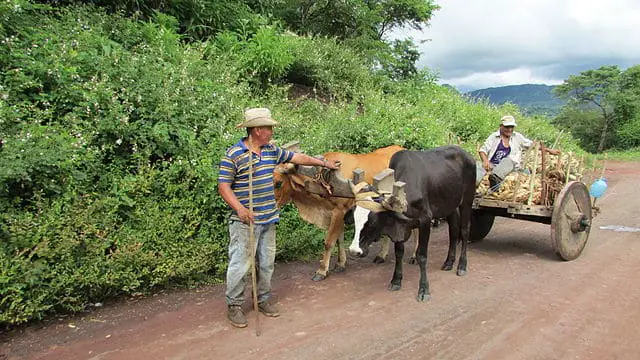 Rural El Salvador