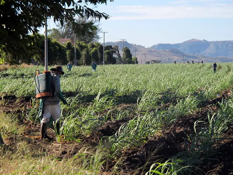 Rural El Salvador