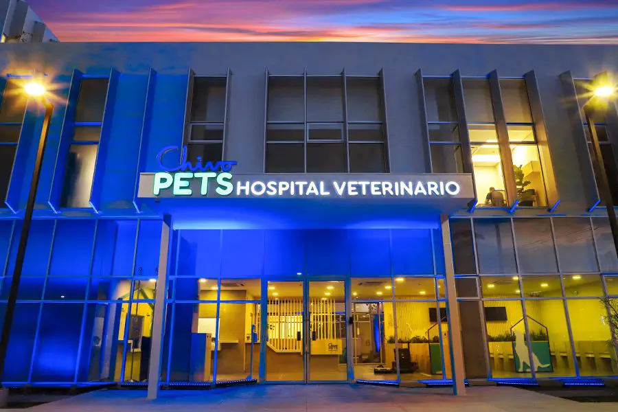 Veterinarian hospital El Salvador