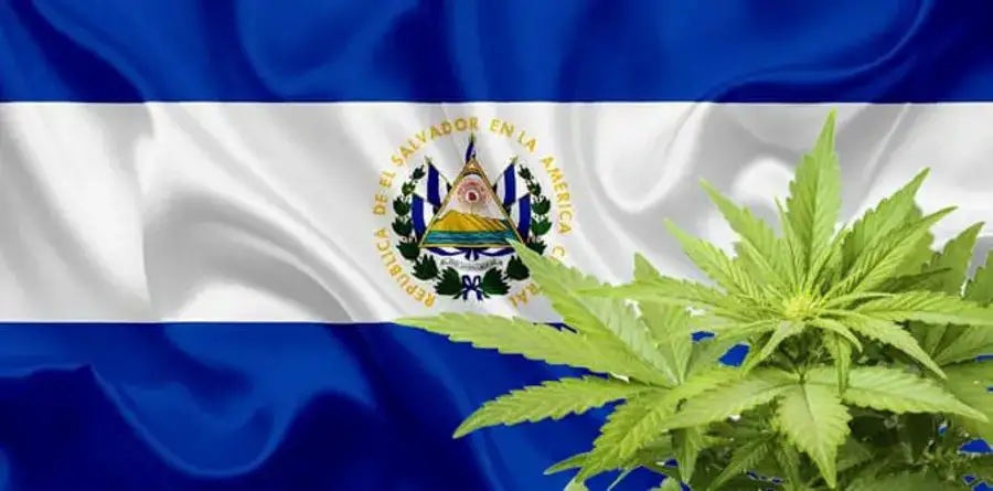 Marijuana in El Salvador