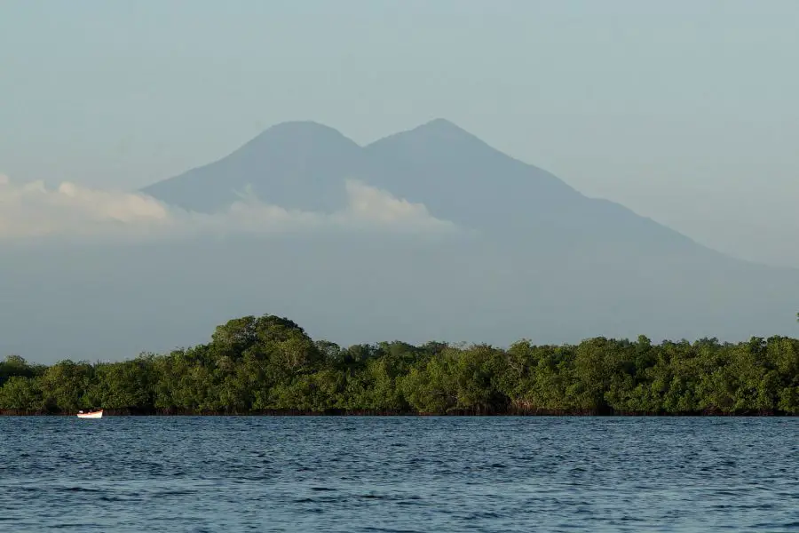 El Salvador Wildlife