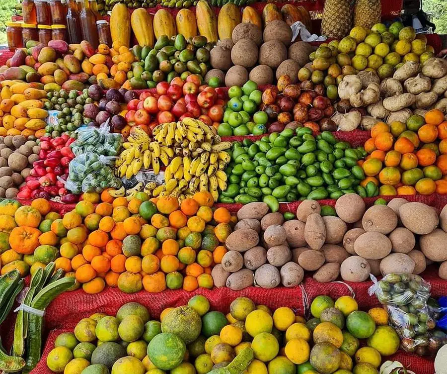 Fruits from El Salvador