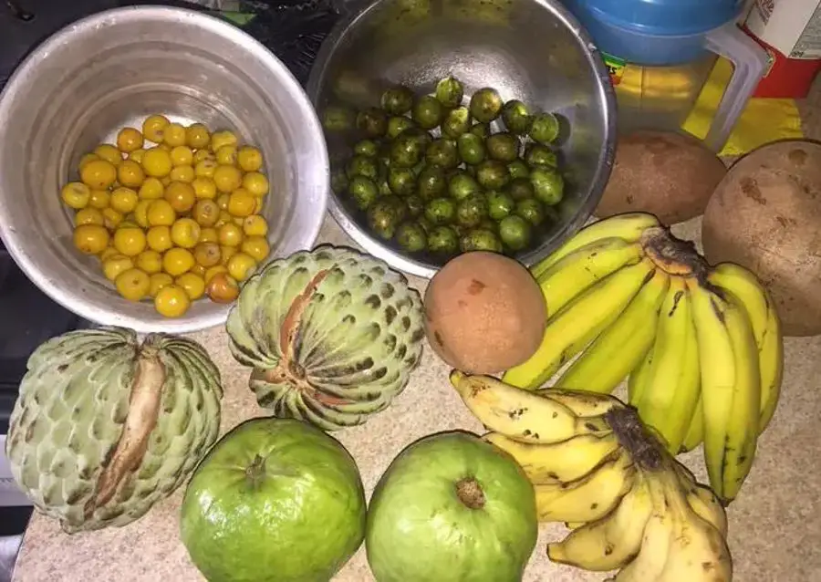 Fruits of El Salvador