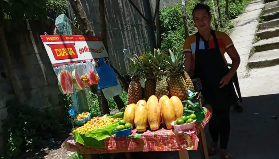Fruit Vendor in El Salvador