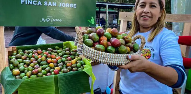 Jocote Corona festival in El Salvador