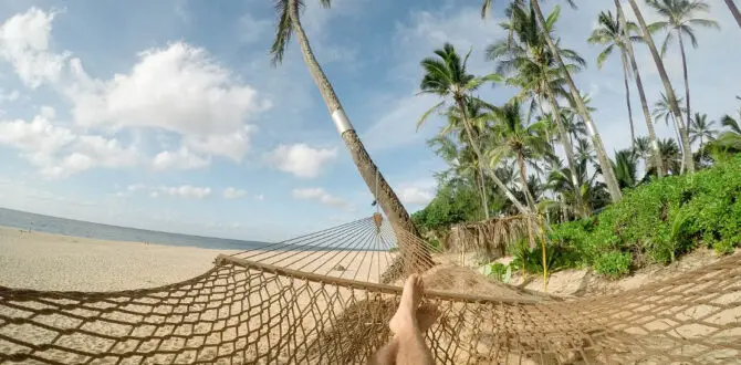 Relax With Hammocks