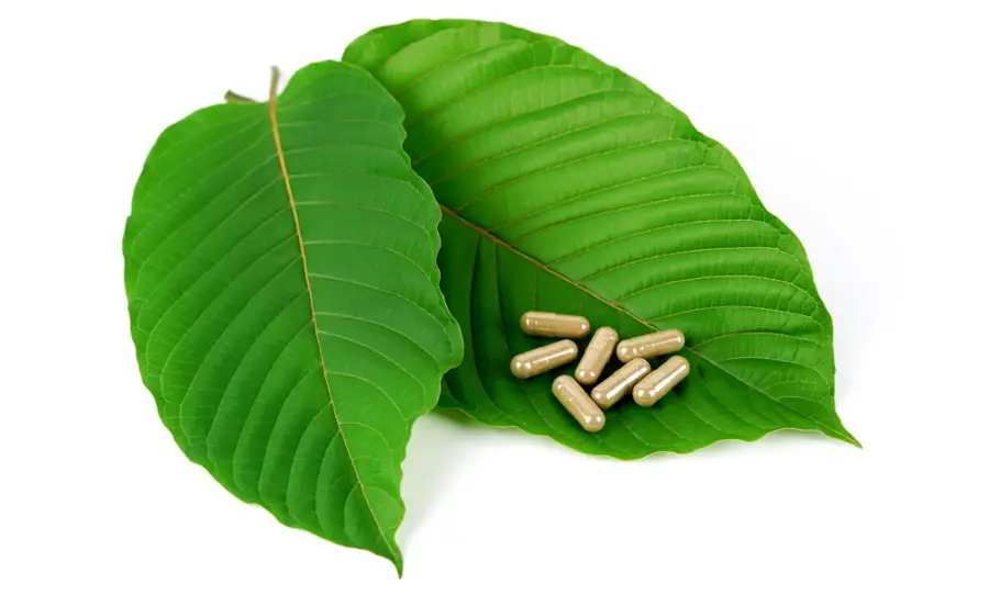 Best Kratom Capsules