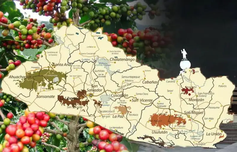 El Salvador Coffee Growing Regions