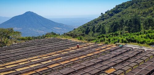 El Salvador Coffee Route