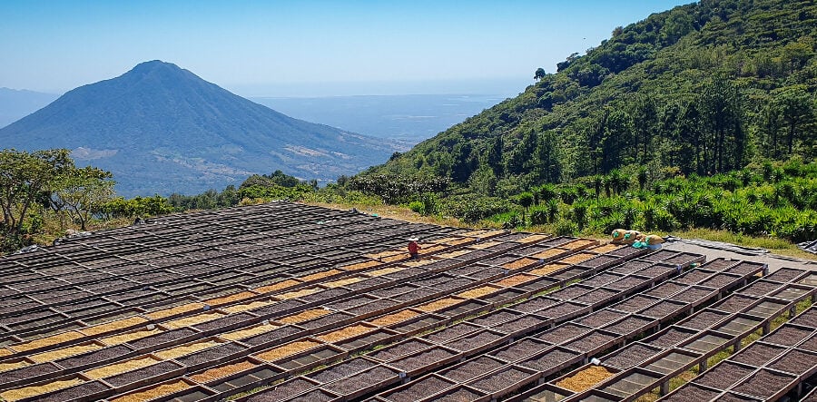 El Salvador Coffee Route