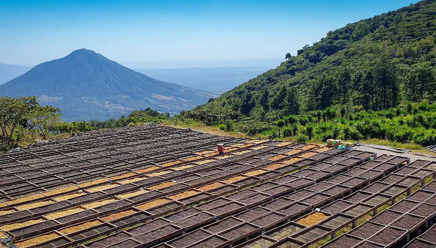 El Salvador Coffee Route