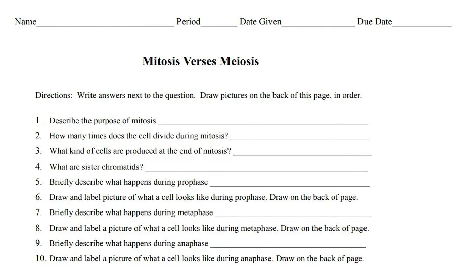 Mitosis Questions