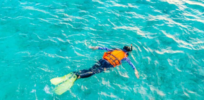Morning Snorkeling Tour Day