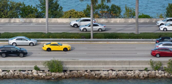 Florida Laws on Accidental Road Deaths