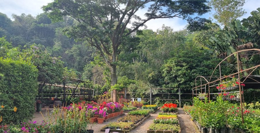 La Laguna Botanical Garden