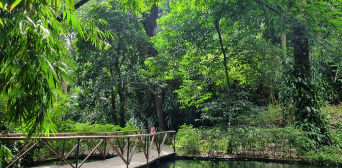 La Laguna Botanical Garden