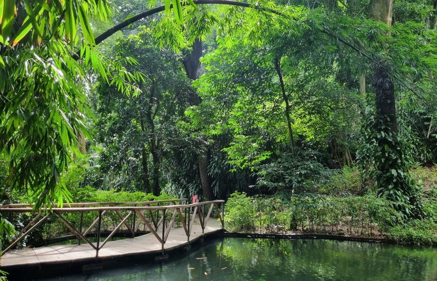 La Laguna Botanical Garden