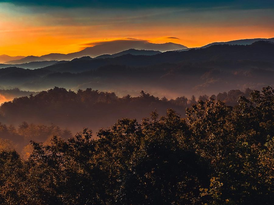 Ways to Bring a Trip with You