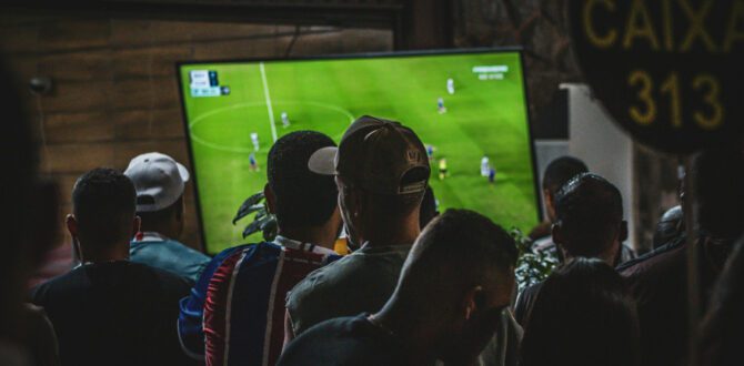 How Sports Fans Around the World Follow Matches Online