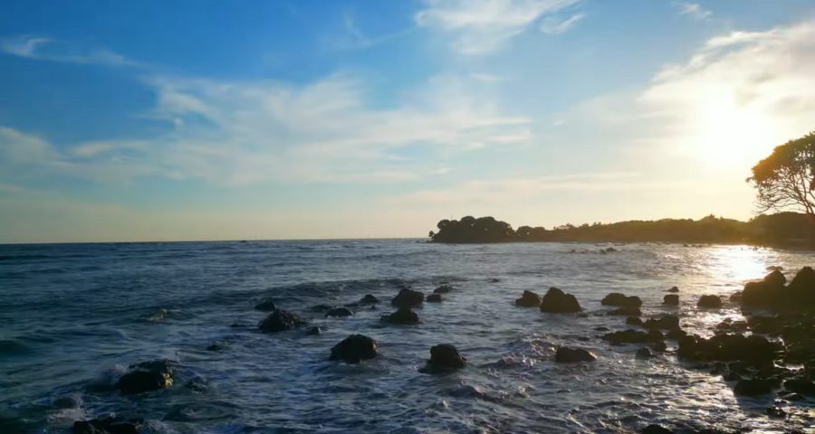 Playa El Flor Sonsonate