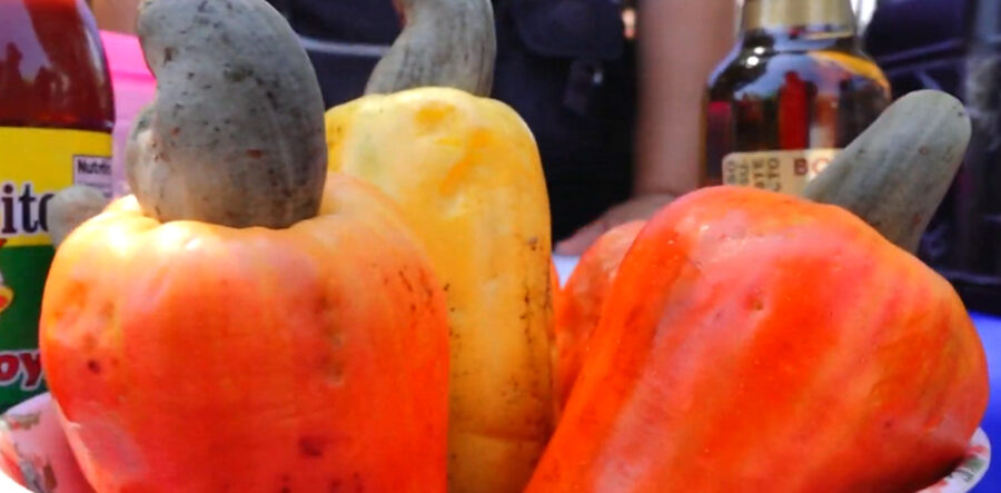 Tecoluca Cashew Festival