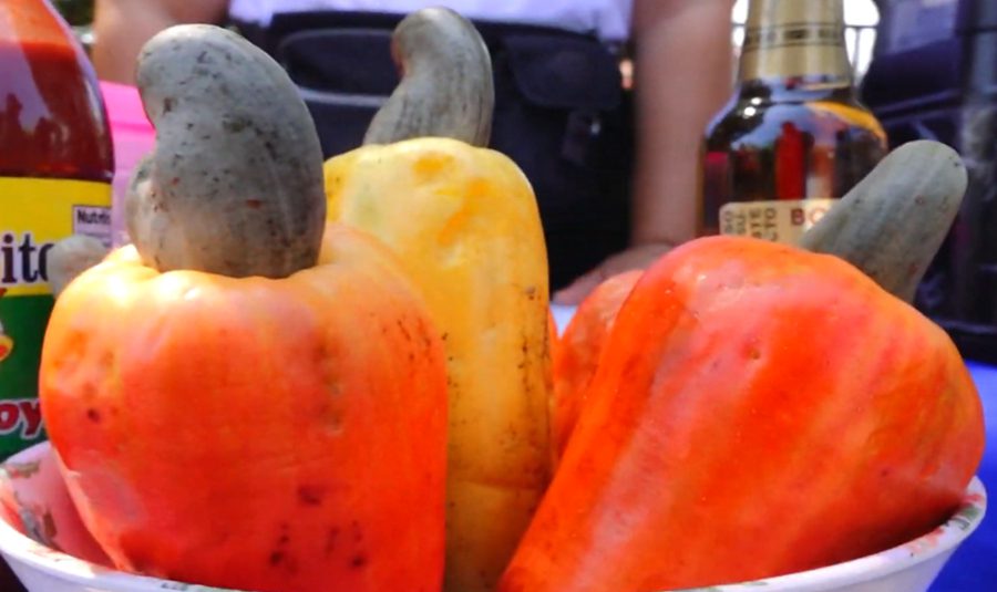 Tecoluca Cashew Festival