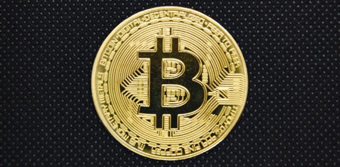 Bitcoin Treasury Adoption