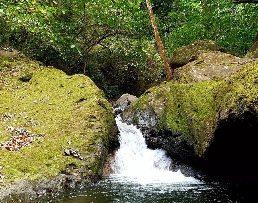 Parks in El Salvador